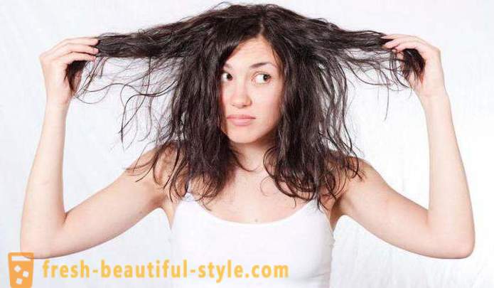 Tehokas shampoo rasvoittuvat hiukset: arvosteluja, tyypit ja valmistajat