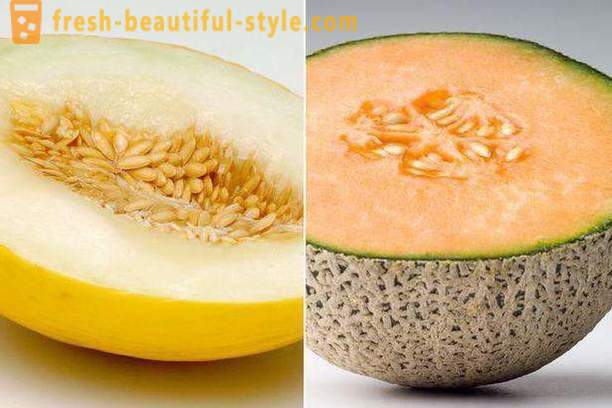 Meloni ruokavalio laihtuminen valikoissa, selostuksia