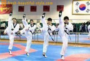 Mikä on Taekwondo? Kuvaus ja säännöt kamppailulaji