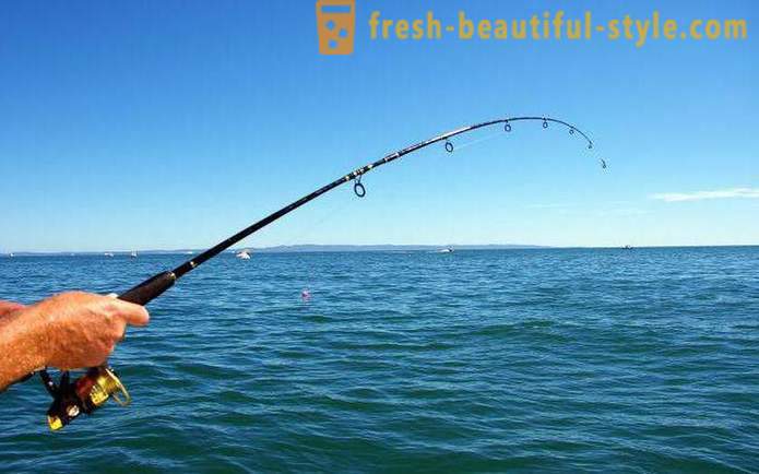 Kalastus Syzran: parhaat paikat ja puree ennuste