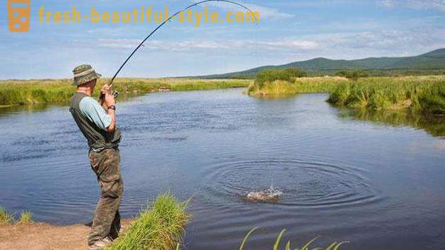 Vapaa kalastus lähiöissä - minne mennä? Vapaa lampia Moskovassa