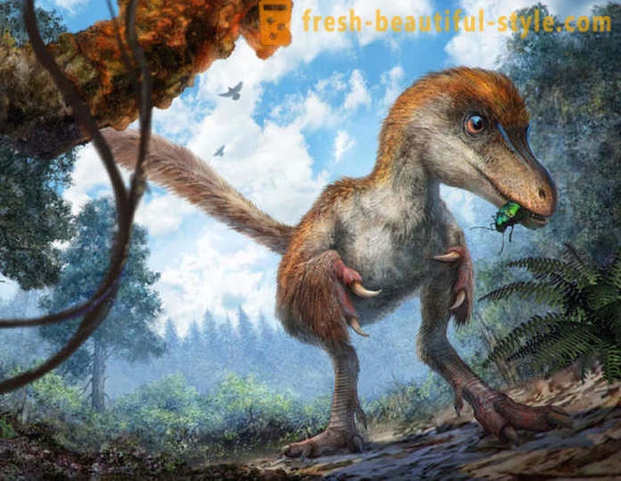 Ainutlaatuinen havainnot liittyvät dinosaurukset