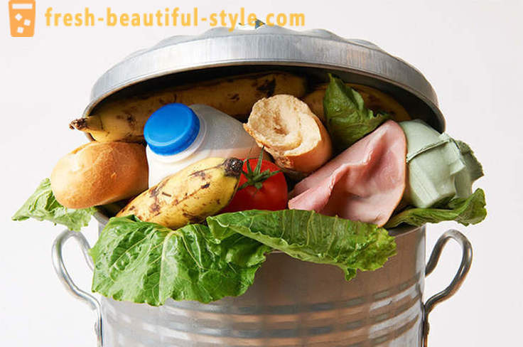 Kuinka lopettaa ruokinta roskakoriin ruoka