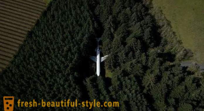 Amerikkalainen, 15 vuotta asuu lentokoneen keskellä metsää