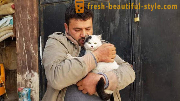 Mies jäi sodan runtelemassa Aleppo huolehtia hylätyt eläimet