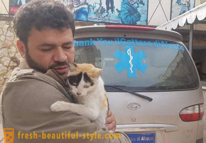 Mies jäi sodan runtelemassa Aleppo huolehtia hylätyt eläimet