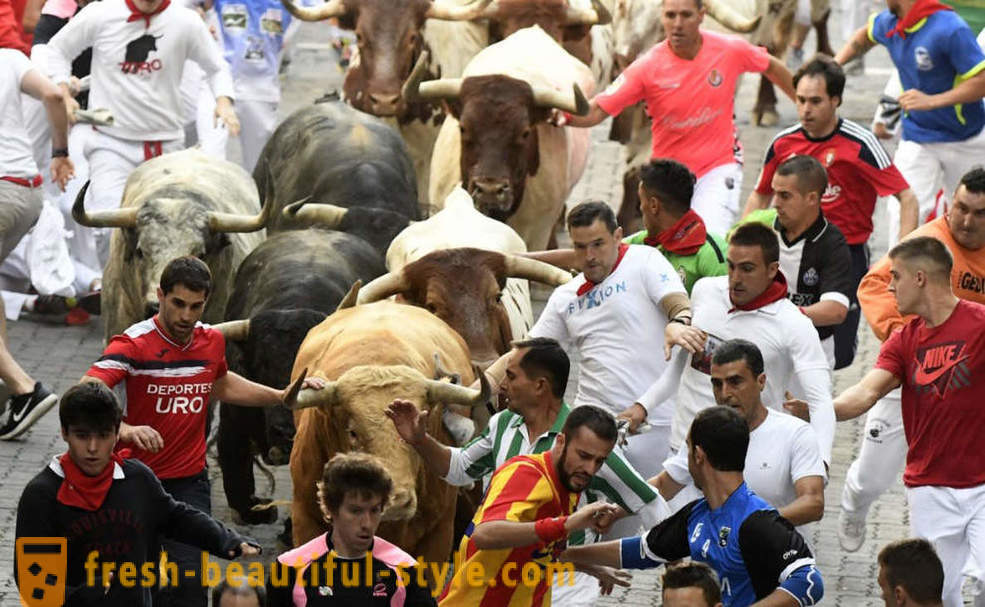 Miten oli vuosittainen Ajo Bulls Pamplona, ​​Espanja