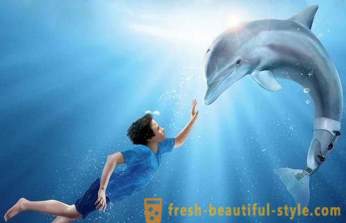 Valikoima elokuvia delfiinien