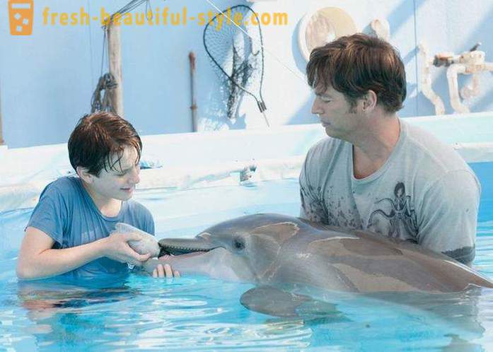 Valikoima elokuvia delfiinien