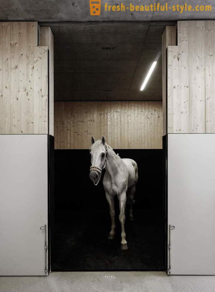Suunnittelu eläinlääkärin hevosille Itävallassa