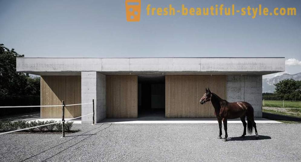 Suunnittelu eläinlääkärin hevosille Itävallassa