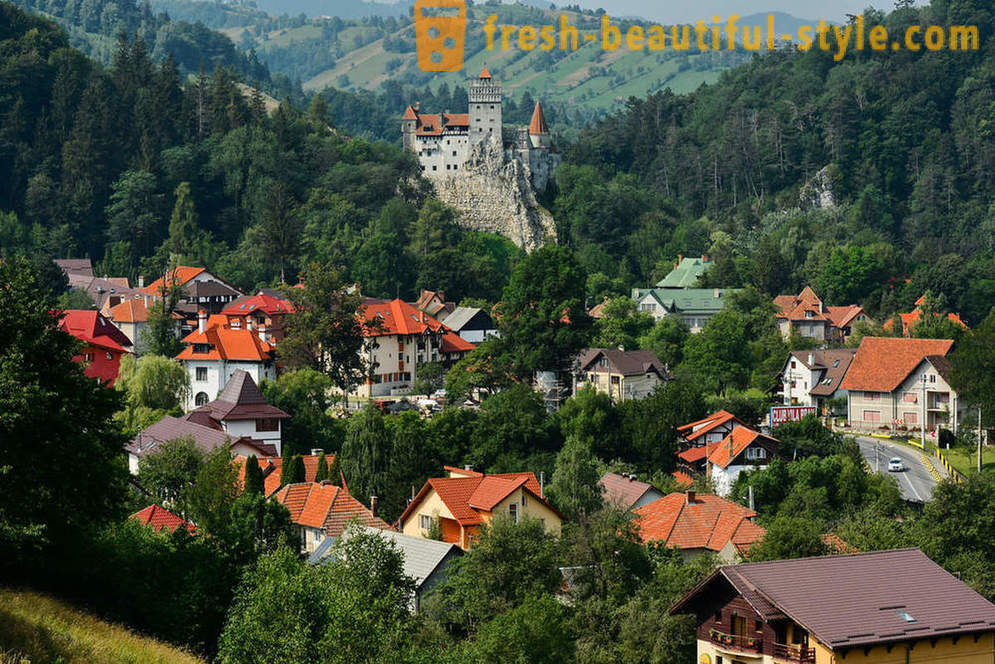 Castle Dracula: Transylvania käyntikortti