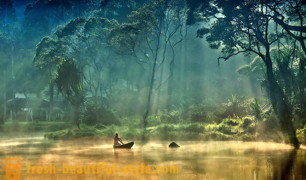 Amazon - luonnollinen ihme maailmassa