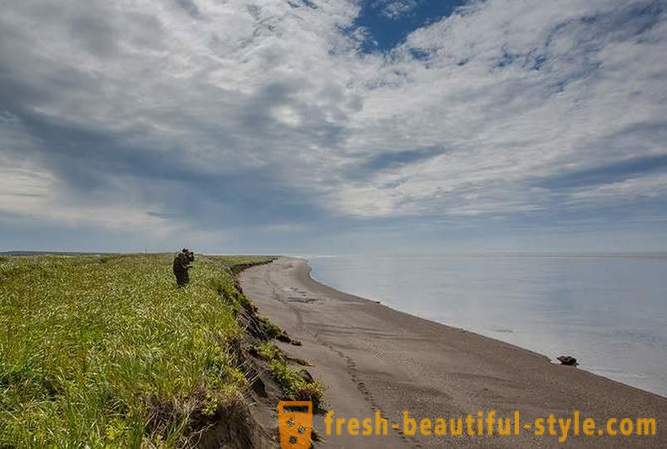 Primordial Kamchatka: Land karhut