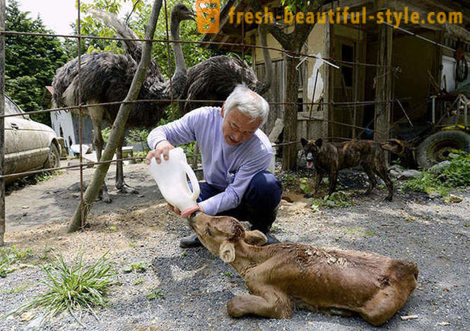 Japanin asuvat suojavyöhykkeen eläimille