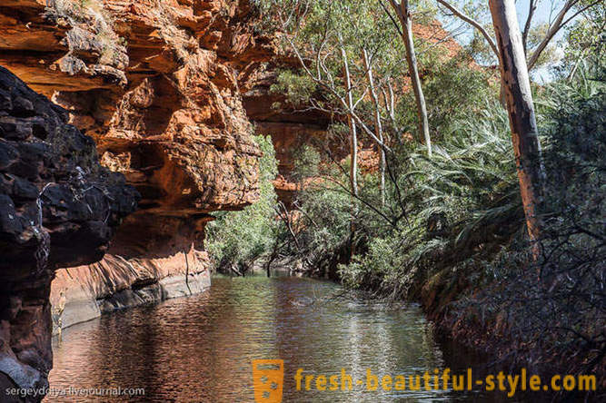 Kävele Kings Canyon Australia