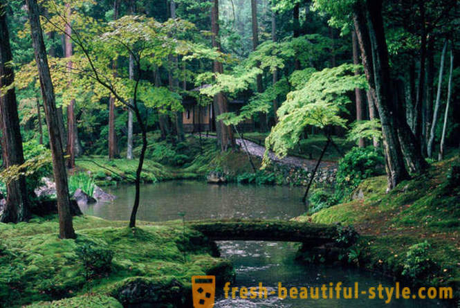 Moss puutarha Japanissa
