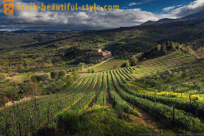 Taivaan alla Toscanan kevät