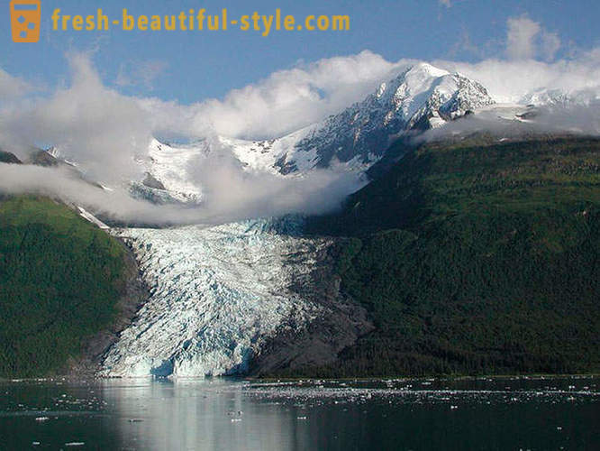 Glacier Bayn kansallispuisto Alaskassa