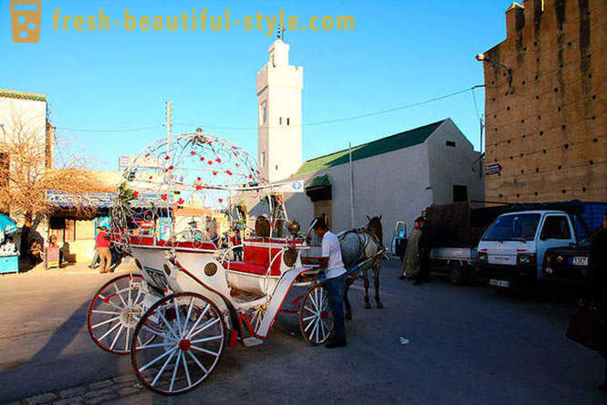 Fez - vanhin keisarillisen kaupunkien Marokon