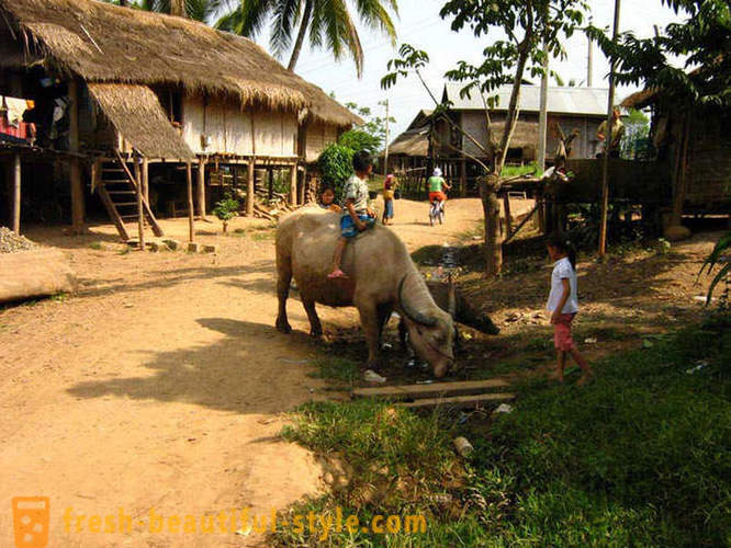 GeoFresher - Miten elää Laosissa