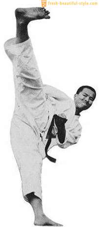 Karate: tekniikat ja niiden nimet