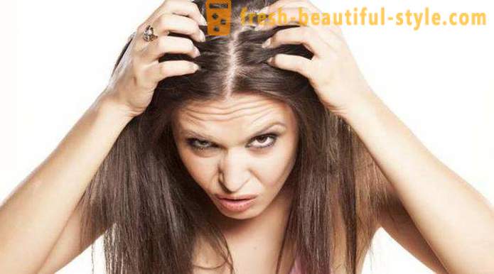 Lääkkeitä minoksidiili hiukset: arvosteluja, ominaisuuksia ja kuvaus hakumenettelystä paras