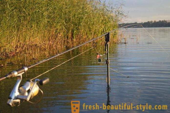 Kalastus Rjazanin alueella Oka joen ja muiden vesistöjen