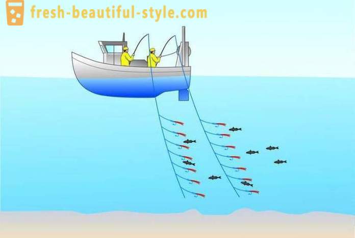 Vetouistelu: kalastavat aloittelijoille. Kalastus uisteluveneen