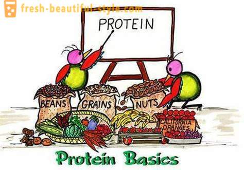 Mitkä ovat proteiineja? Kuka ja miten ottaa proteiiniin