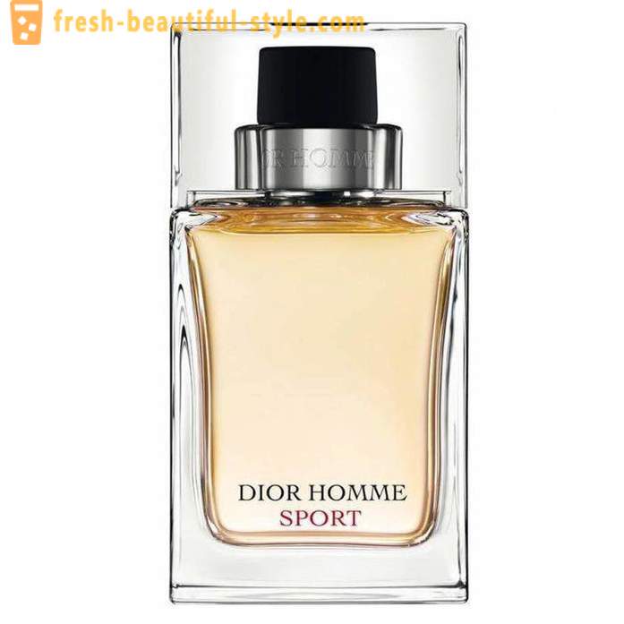 Dior Homme Sport miehet: kuvaus, arvostelut
