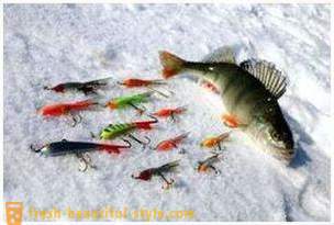 Kalastus rokkari talvella. kalastus tekniikka vaa'anvarsi