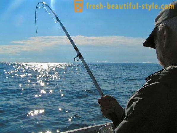 Tykkään kalastaa? Kalastus järvellä, joki ja meri. Miten kalastaa spinning?