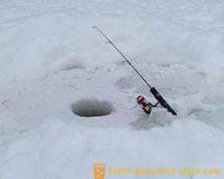 Jännittävä kalastus karpin talvella